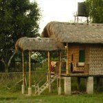 Majuli Hut